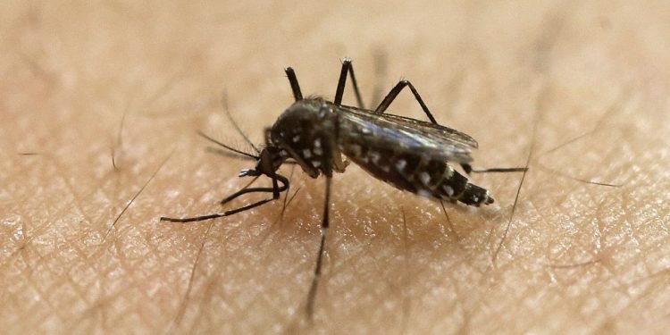 Public Health to treat parts of Greene County for adult mosquitos