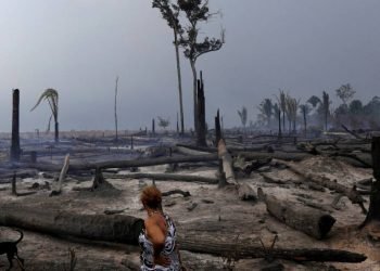 Corporate bonus culture impedes the push for net zero