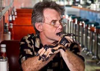 Fitz's Opinion: A "Cyber Ninja" tells all about his time as an "election auditor" – Arizona Daily Star