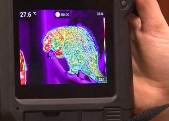 Infrared technology being used at Louisville Zoo to track health of wild animals