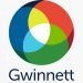 Gwinnett residents tapped to review county business plans, 2022 budget – On Common Ground News