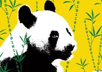 China has become a laboratory for the regulation of digital technology