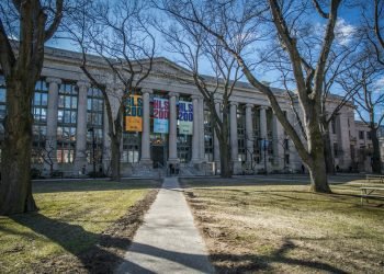 Unlearning Harvard’s Anti-Vulnerability Culture | Opinion