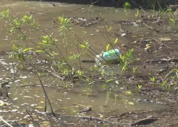 Raw sewage enters River Raisin; health dept. issues advisory