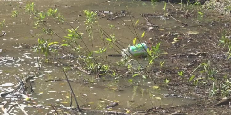 Raw sewage enters River Raisin; health dept. issues advisory