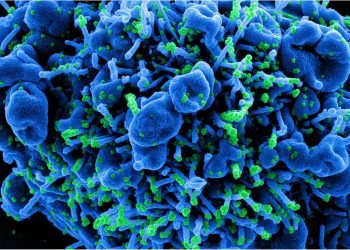 Post-exposure prophylaxis with monoclonal antibodies may reduce health system burden in the US