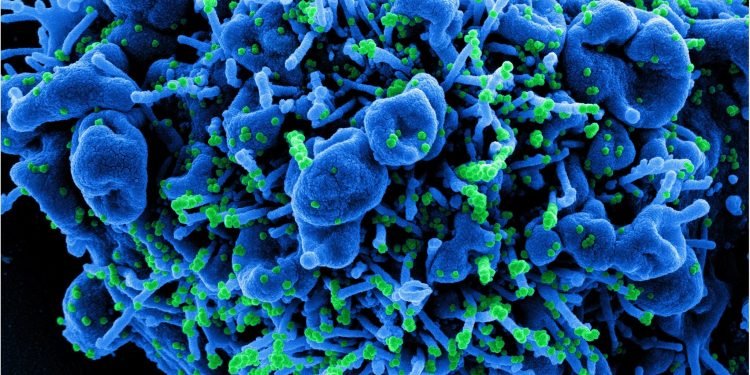 Post-exposure prophylaxis with monoclonal antibodies may reduce health system burden in the US