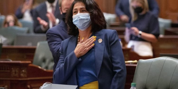 Illinois Democrats OK new legislative maps over criticism | Govt-and-politics