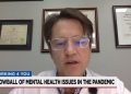 Experts seeing increase in mental health issues during the pandemic | News