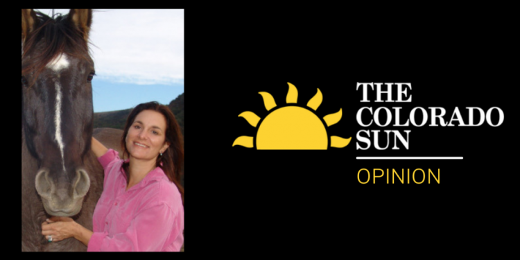 BLM removes wild horses from range while ignoring humane solutions