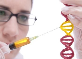 New technology offers a faster, easier and more efficient way to study gene function