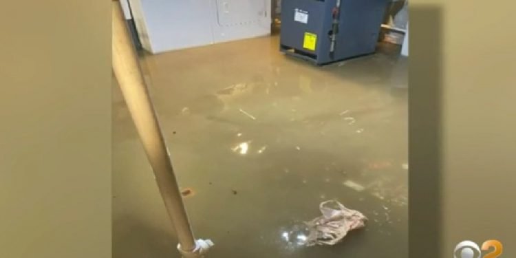 Cranford, N.J. Business Owner Says She Was Stunned To Find Strangers In Millburn Drying Out Her Store – CBS New York