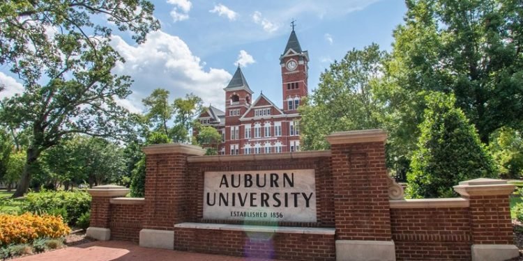 Dr. Doug Hankes to lead Auburn Athletics Counseling and Sport Psychology team