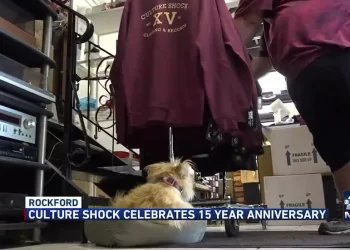 Culture Shock celebrates 15 years in Rockford