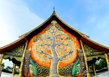 Explore Asian Culture Through Food, Drinks, and Sweets | Local News I Racine County Eye