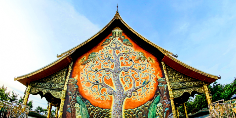 Explore Asian Culture Through Food, Drinks, and Sweets | Local News I Racine County Eye