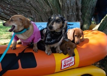 12 top things to do Sept. 24-30