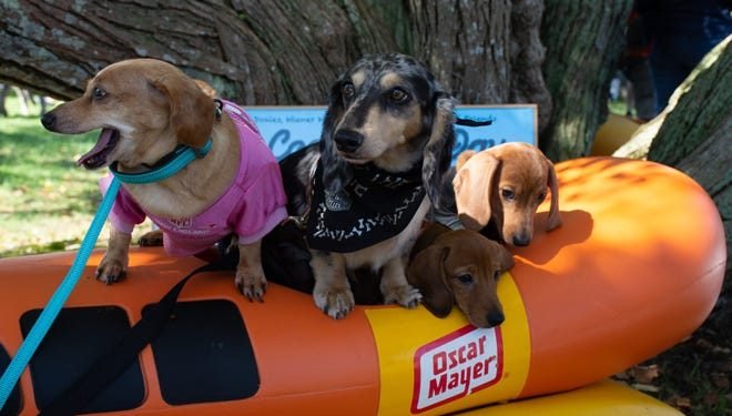 12 top things to do Sept. 24-30