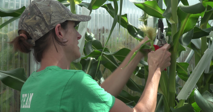 AgBiome lands $166M for safer crop protection technology – TechCrunch