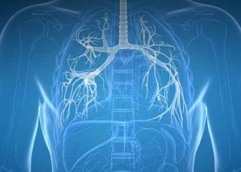 Assessing personal protective equipment needs for healthcare workers – Lee – 2021 – Health Science Reports