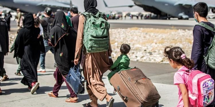 California Governor Seeks $16.7M in Aid for Afghan Refugees | Political News