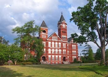 Registration open for free Chinese language and culture courses