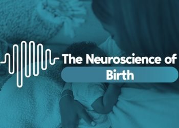 The Neuroscience of… Birth | Technology Networks