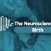 The Neuroscience of… Birth | Technology Networks