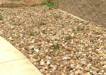 Intense heat drying out business for landscape industry