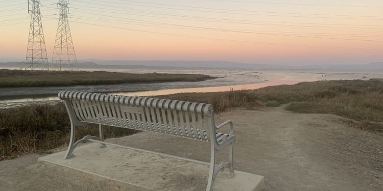 Opinion: 30×30: A vision to protect our planet | News