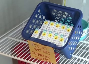 With Likely Polio Circulation in New York, California Health Experts Urge Vaccination – NBC Bay Area