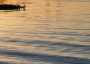The Importance of a Second Opinion May Surprise You – The Bloom – The Lake County Bloom