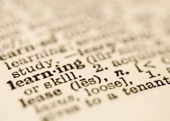 Fighting over grammar can help fix a divided America – The Virginian-Pilot