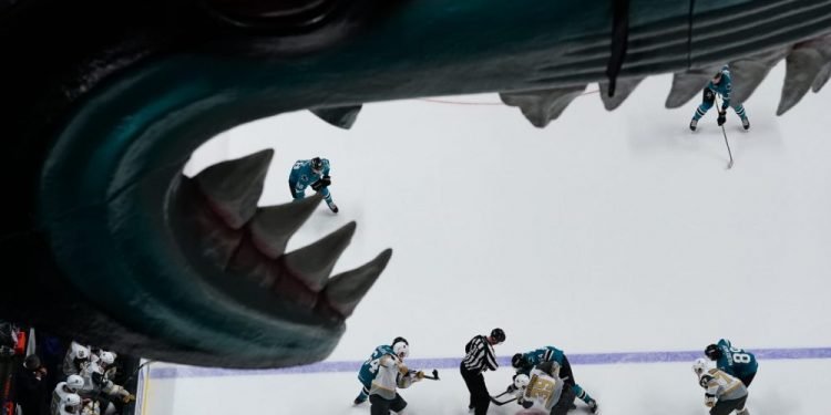 Ex-Sharks Employee on Surviving Sexual Harassment, Hockey Culture