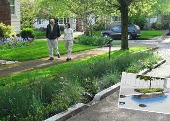 Want to Prevent Flooding? Turn ‘Parking’ Into Greenspace – Streetsblog New York City