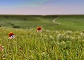A year ago, I started a journey as Kansas Reflector opinion editor. Here’s what I learned.