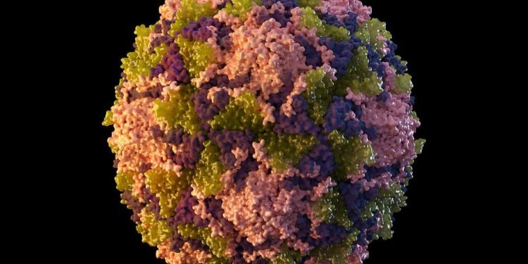 Richmond health leaders stress importance of Polio vaccine