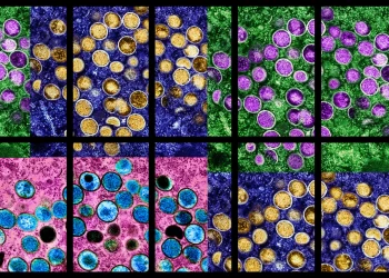 Monkeypox crisis exposed Biden administration’s struggles to stop another virus