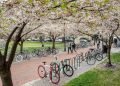 VCU enhances mental health and well-being resources for students and employees – VCU News