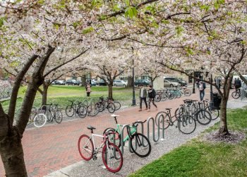 VCU enhances mental health and well-being resources for students and employees – VCU News