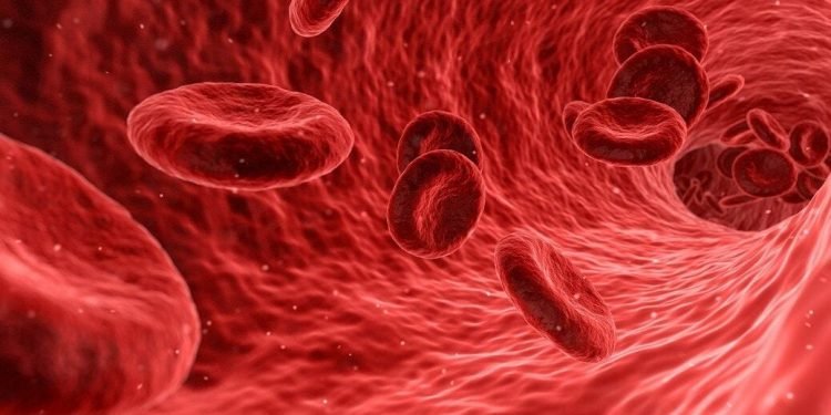 Gemini enters business combination deal with Disc Medicine