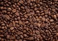 Albanian coffee culture latest casualty of inflation – EURACTIV.com