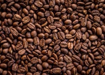 Albanian coffee culture latest casualty of inflation – EURACTIV.com