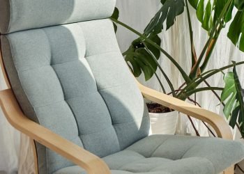 Four viral plant health trends that could destroy your beloved house plants