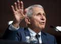Fauci warns Covid politics could harm childhood vaccination efforts