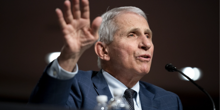 Fauci warns Covid politics could harm childhood vaccination efforts