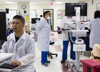 As CEO of Harris Health, I implore our leaders to put health care over politics