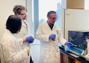 Honors College Faculty Equipment and Technology Grant Applications Due Sept. 30