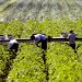 Overtime boost could help farm labor