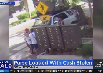 Only On: Small business owner searching for men who stole purse loaded with cash
